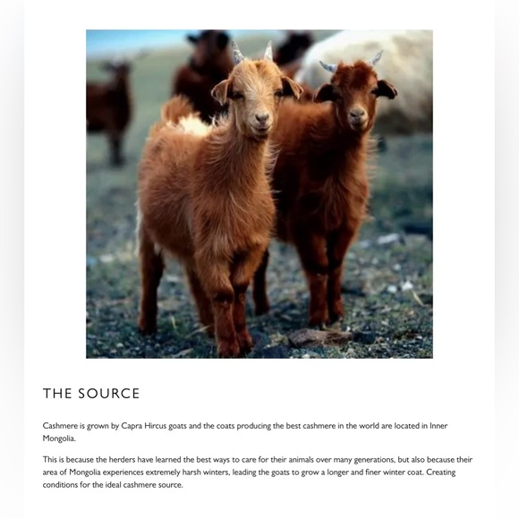 N Peal cashmere sweater, Medium - Picture 7 of 7